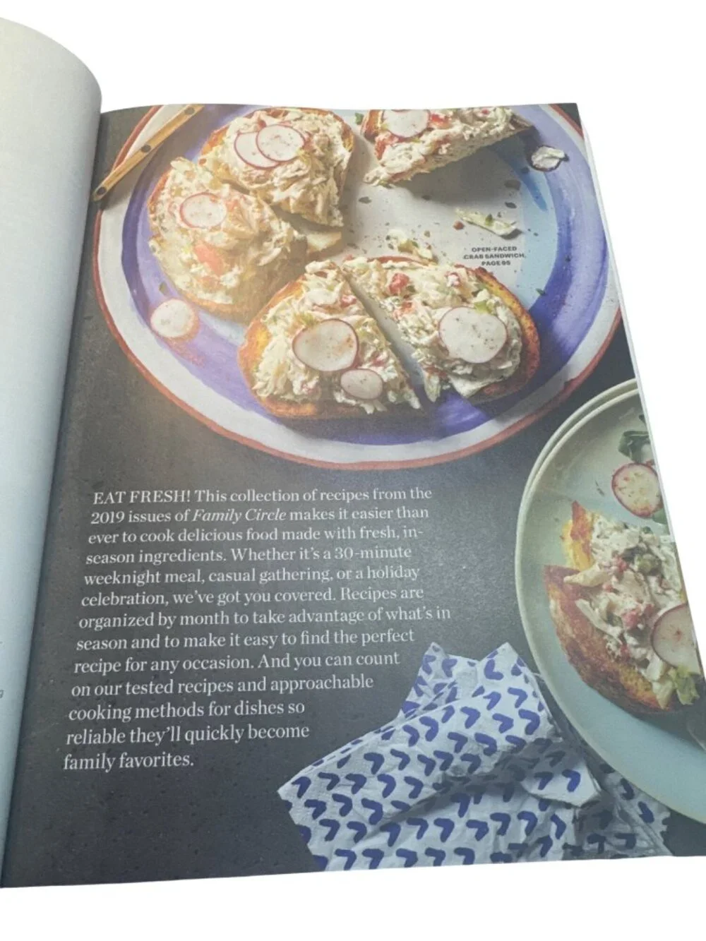Family Circle Annual Recipes Cookbook 2019 Hardcover Mouthwatering Dishes Color